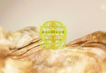 The Master’s Grace