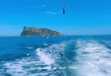 Sailing Through the Waves