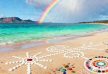 Wisdom for Life The Art of Creating Positive Affinity