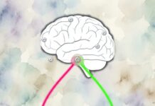 The Architecture of Perception