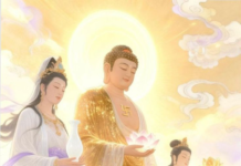 The Physics of Karma: 5 Counter-Intuitive Truths About Spiritual Progress