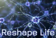 How to Reshape Your Body, Mind, and Destiny from the Root Level?
